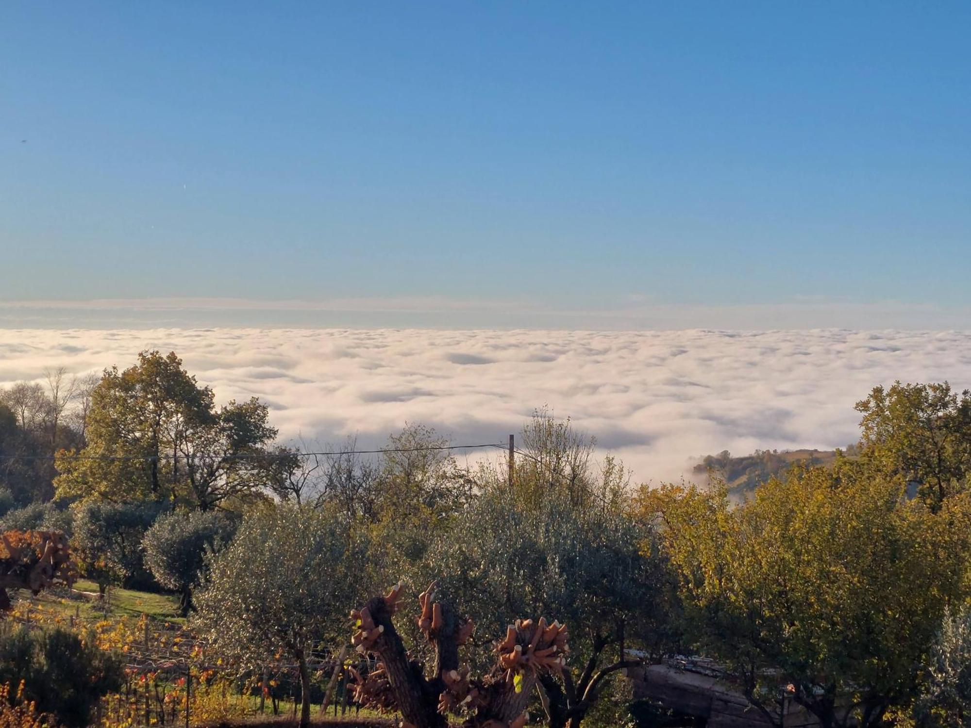 Al Colle Rooms Montebello Vicentino Екстериор снимка