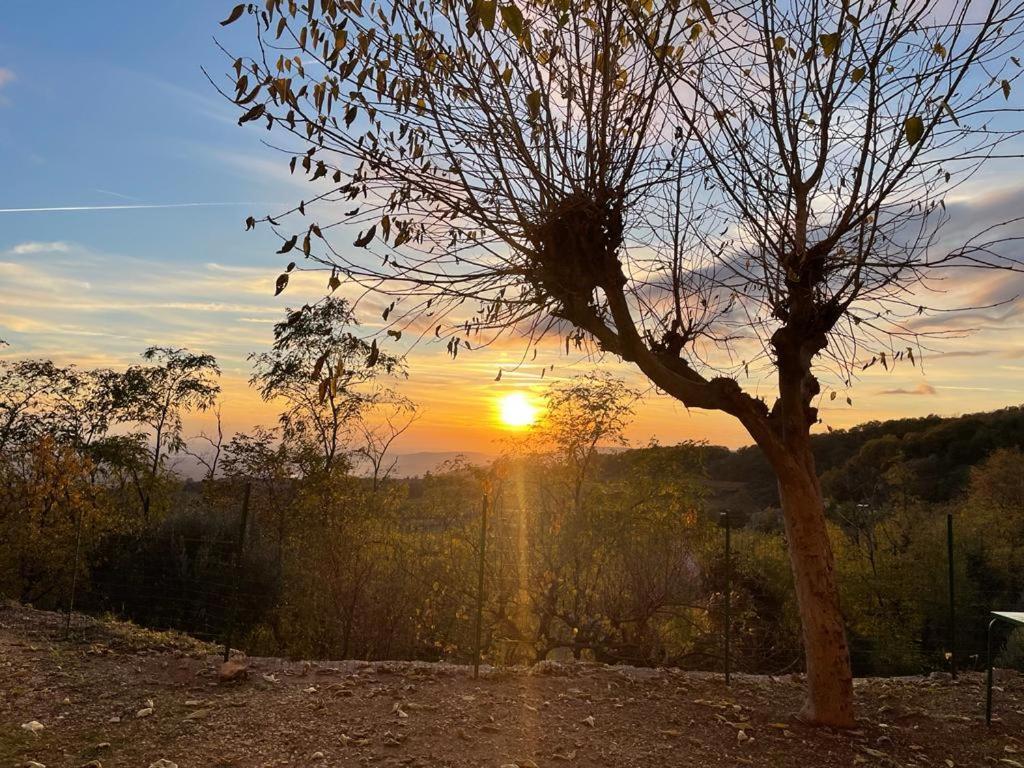 Al Colle Rooms Montebello Vicentino Екстериор снимка